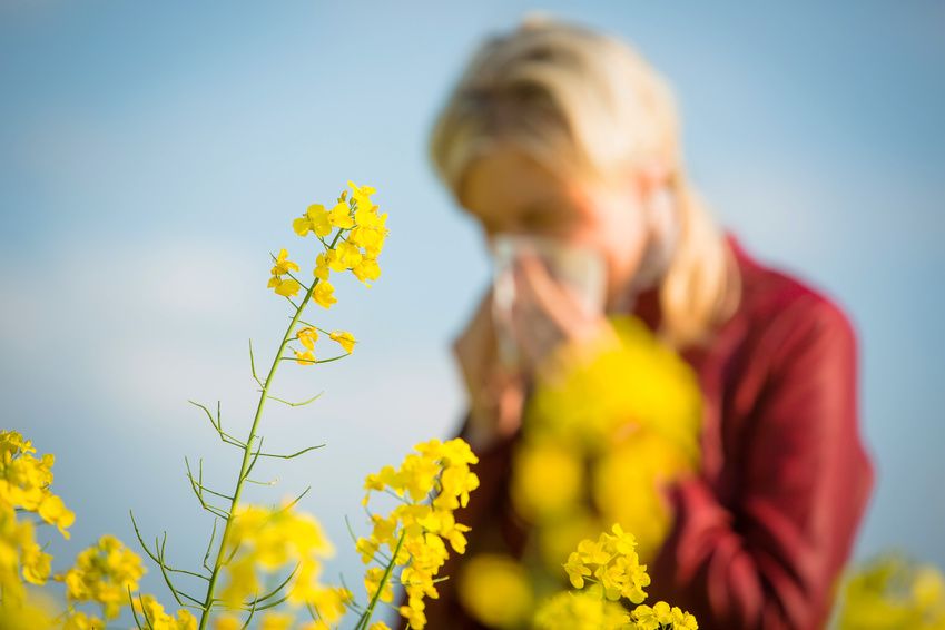 Allergie & Heuschnupfen