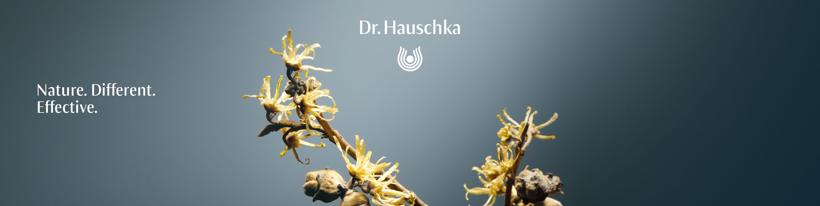 Dr. Hauschka Naturkosmetik